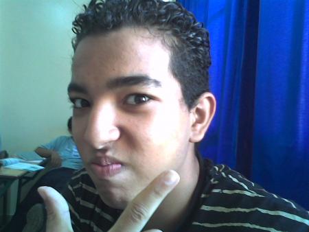 bacha